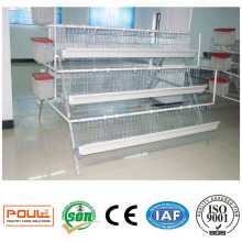 Commercial Layer Chicken Cages for Poultry Farms